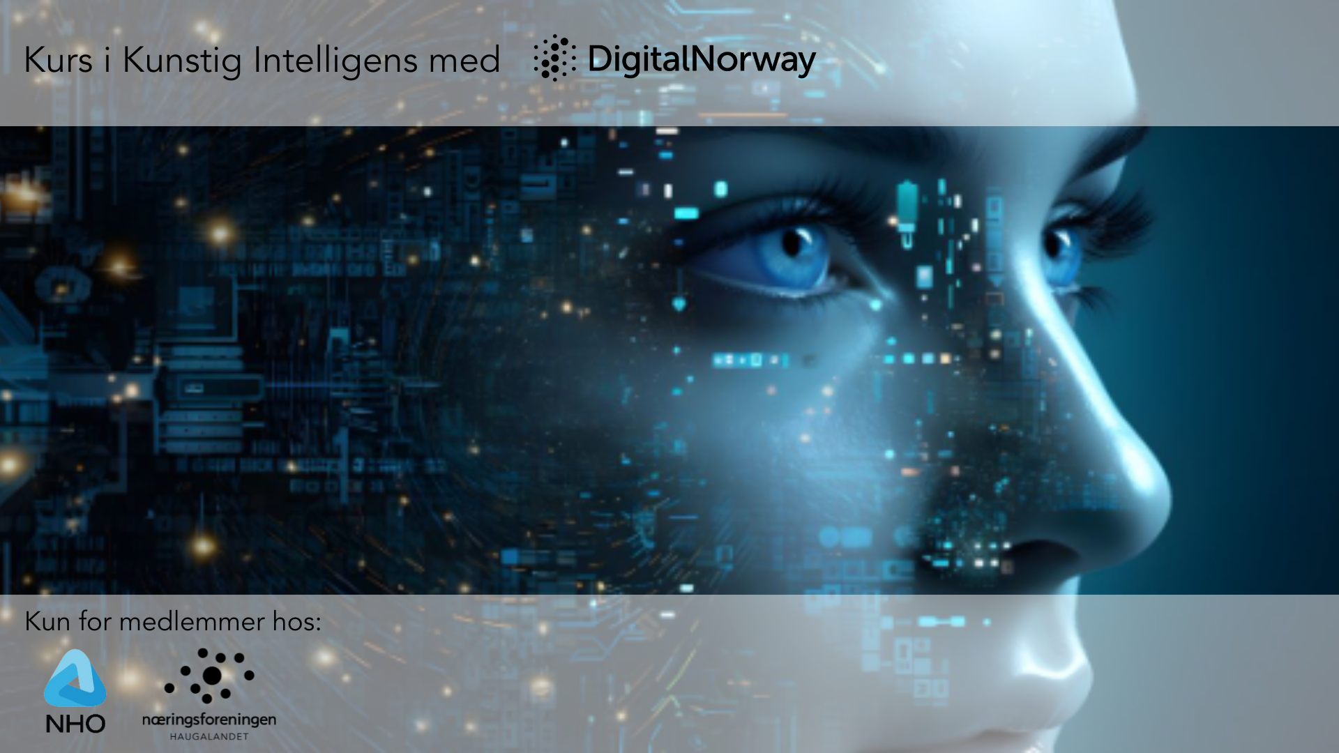 Kurs om kunstig intelligens med Digital Norway (kun for medl.)